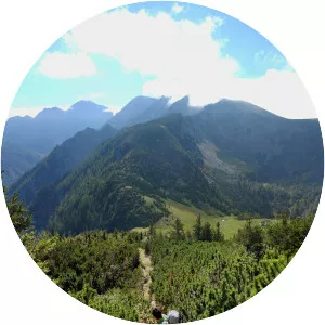 Bärentaler Kotschna - 