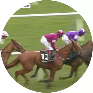 Baring Bingham Novices' Hurdle - 