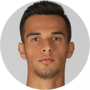 Barış Alıcı - Turkish football player