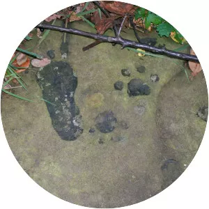 Barnesville Petroglyph - 