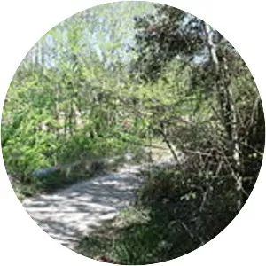 Barranc de l'Horteta