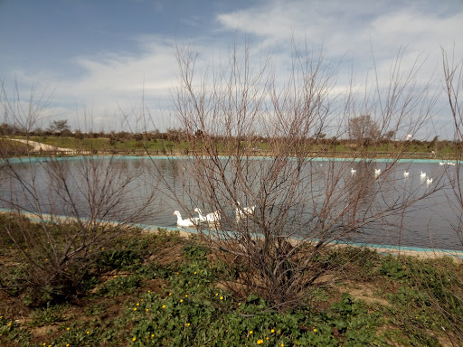 Barranco del Canto echado 