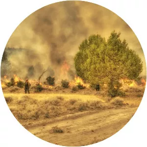 Barry Point Fire - Wildfire