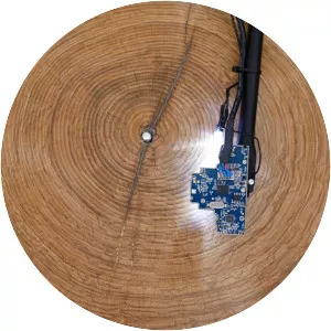 Bartholomäus Traubeck - Musical artist