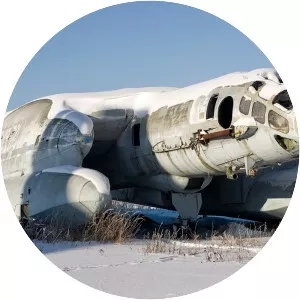 Bartini Beriev VVA-14