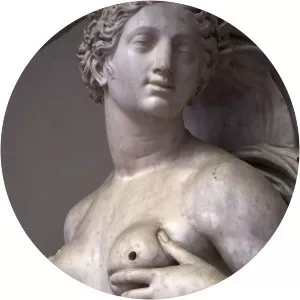 Bartolomeo Ammannati