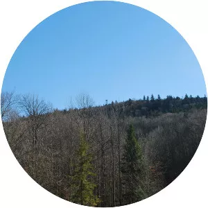 Barton Knob - Mountain in West Virginia