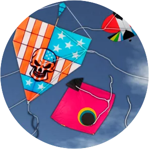 Basant Kite Festival  Kite Flyng Fighting