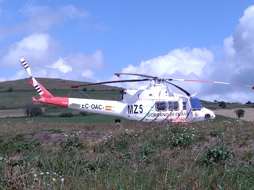 Base BRIF Tineo del MITECO.