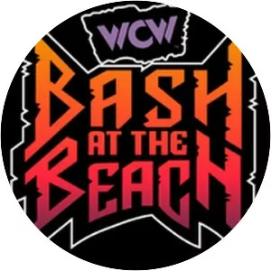 Bash at the Beach - TV show
