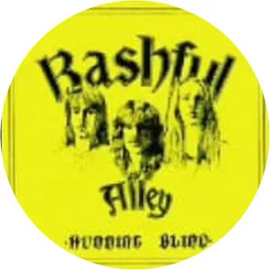 Bashful Alley - Musical group