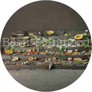 Basir Mahmood - Visual artist