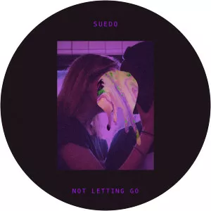 basixx suedo - Musical artist