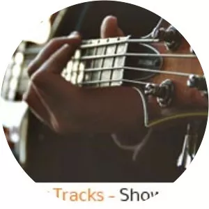 Bass Backing Tracks - Musical artist
