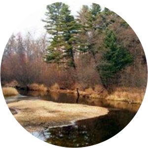 Bastak Nature Reserve