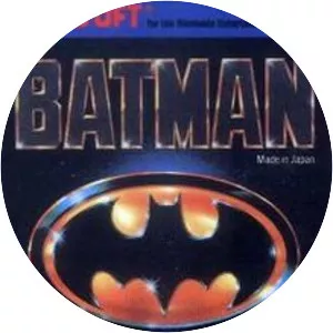 Batman: The Video Game photograph