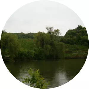 Batova - River in Bulgaria