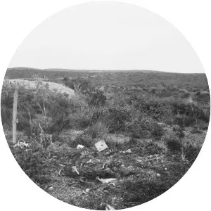 Battle for Baby 700 - 