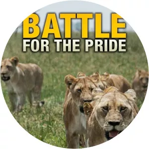 Battle for the PrideSince 2017