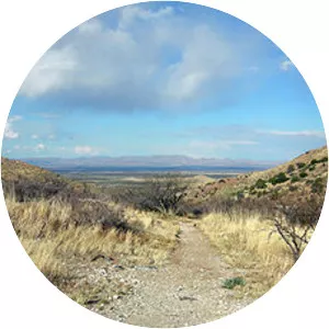 Battle of Apache Pass - 