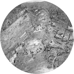 Battle of Bloody Ridge - 