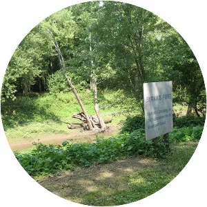 Battle of Byram's Ford - 