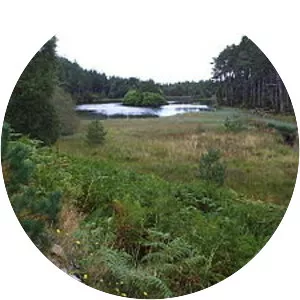 Battle of Carbisdale - 