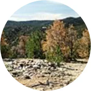 Battle of Cieneguilla - 