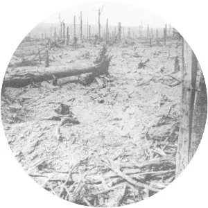 Battle of Delville Wood - 