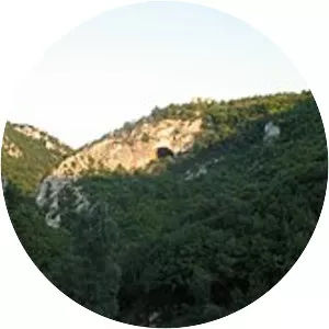 Battle of Dubravnica - 