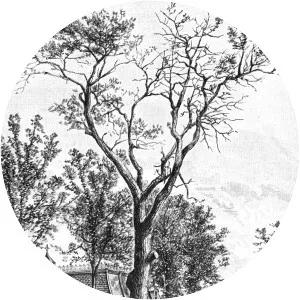 Battle of Fort Dearborn - 