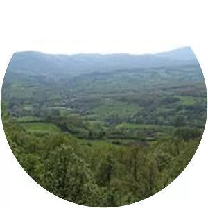 Battle of Kunovica - 