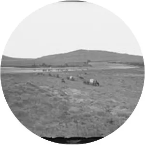 Battle of Platte Bridge