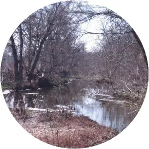 Battle of Salado Creek - 1842