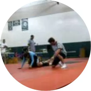 Battle of San Nicolás - 