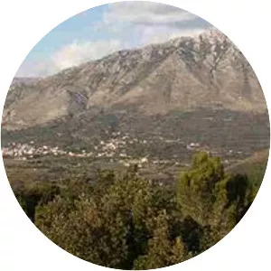 Battle of San Pietro Infine - 