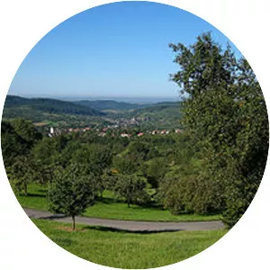 Battle of Schliengen - 