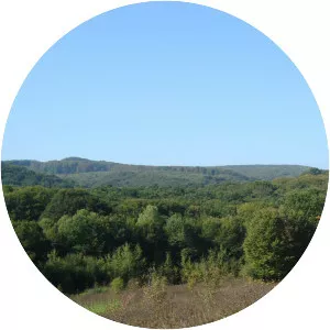 Battle of the Cosmin Forest - 