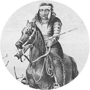 Battle of the Diablo Mountains - 