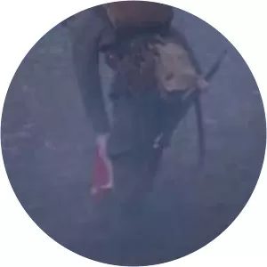 Battle of the Niemen River - 