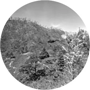 Battle of the Punchbowl - 