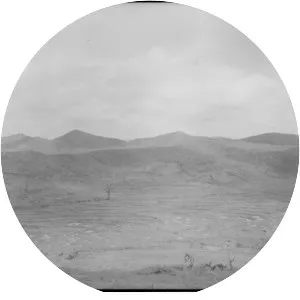 Battle of the Samichon River - 