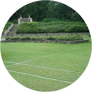 Battle of the Tennis Court - 