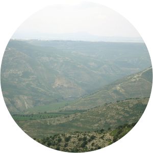 Battle of the Yarmuk - Aug 15, 636 AD – Aug 20, 636 AD