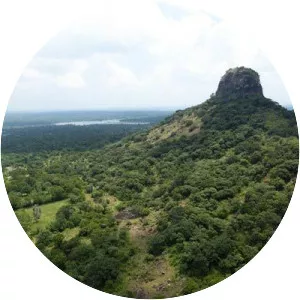 Battle of Thoppigala - 