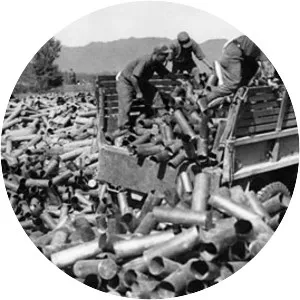 Battle of Triangle Hill