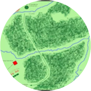 Battle of Vosges - 58 BC