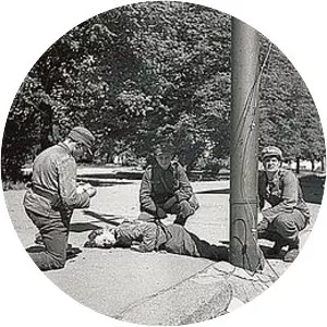 Battle of Vyborg Bay