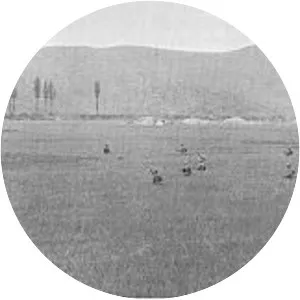 Battle of Yongsan photograph