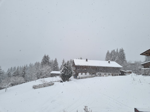 Bauernhof Bartlerhof - Indoor lodging in Thierbach, Austria